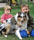 Schotse collie met kinderen